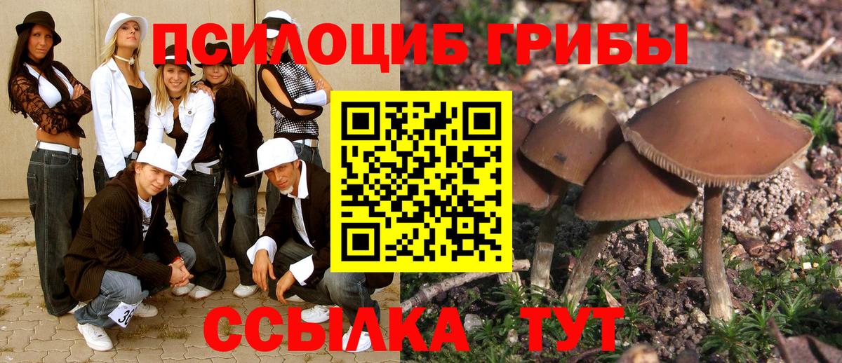 Псилоцибиновые грибы Psilocybe  Галлюциногенные грибы GOLDEN TEACHER  Вход с VPN  Дальнереченск 