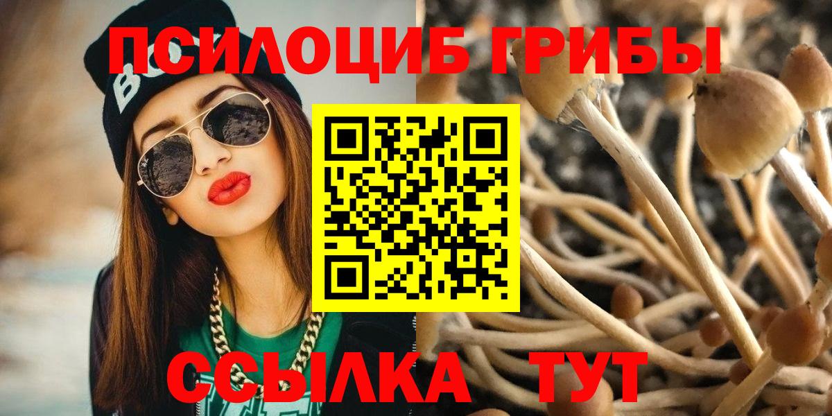Псилоцибиновые грибы прущие грибы Дальнереченск